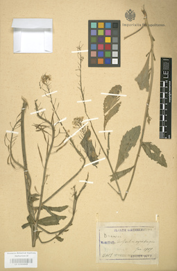 LE 01004445