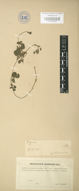 LE 01004505