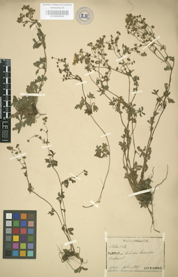 LE 01004506