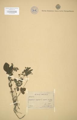 LE 01004509