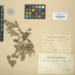 LE 01004512