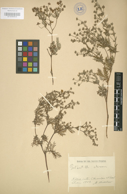 LE 01004514