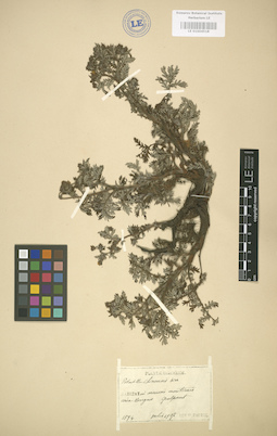 LE 01004518