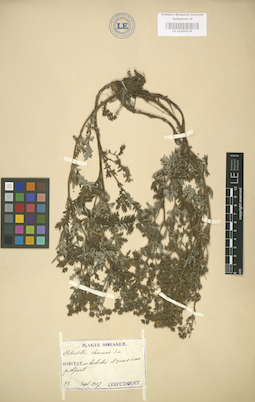 LE 01004519