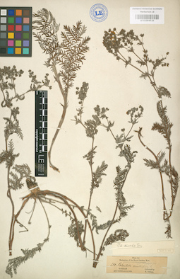 LE 01004520
