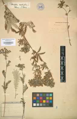 LE 01004522
