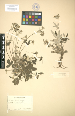 LE 01004528