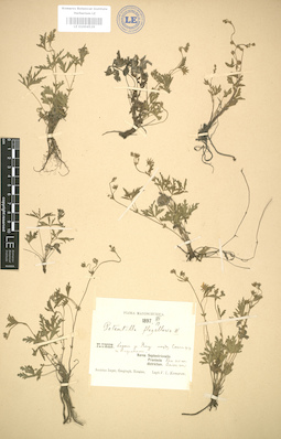 LE 01004529