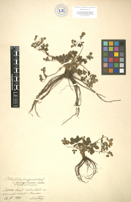 LE 01004530