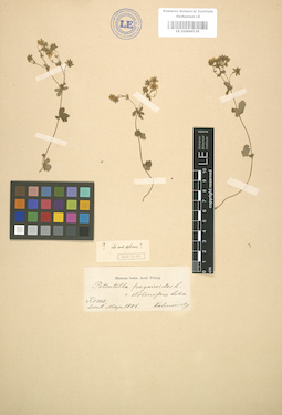 LE 01004539