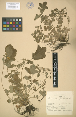 LE 01004540