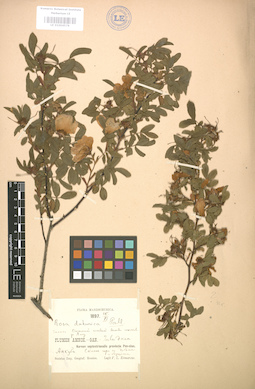 LE 01004578