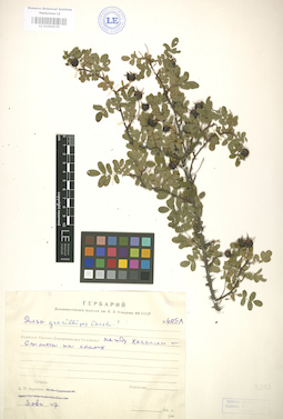 LE 01004579