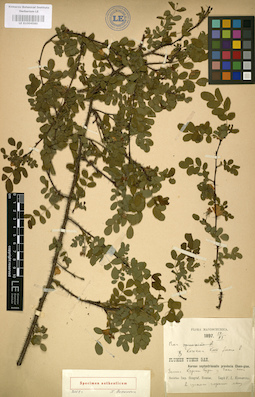 LE 01004580
