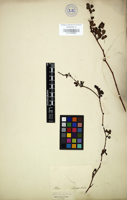 LE 01004583