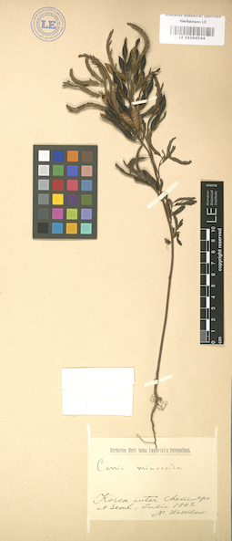 LE 01004584