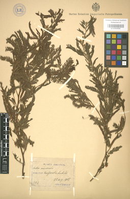 LE 01004585