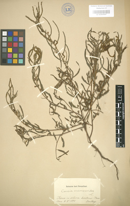LE 01004587