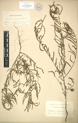 LE 01004588