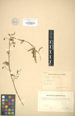 LE 01004592