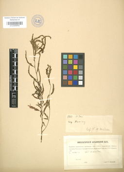 LE 01004594