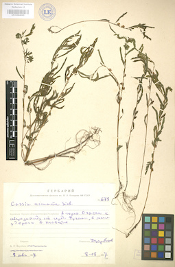 LE 01004595