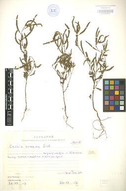 LE 01004596