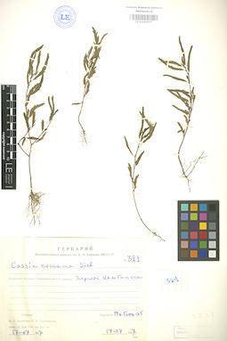 LE 01004597