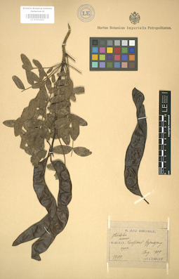 LE 01004600