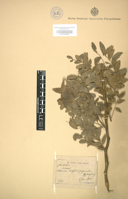 LE 01004601