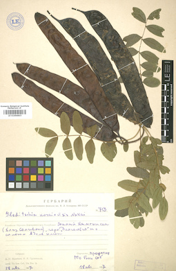 LE 01004603