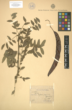 LE 01004607