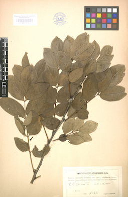 LE 01004611