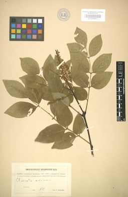 LE 01004613