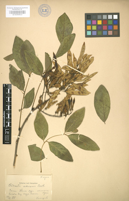 LE 01004614