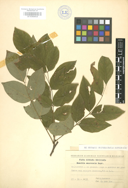 LE 01004616