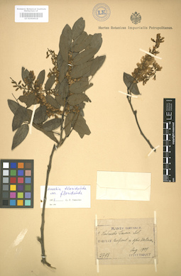LE 01004618