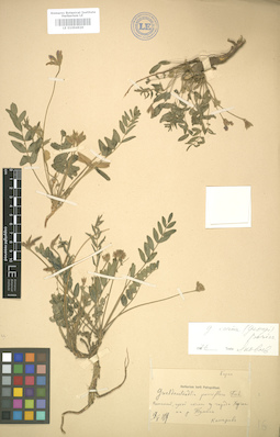 LE 01004620