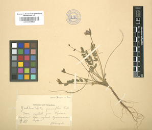 LE 01004621