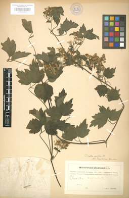 LE 01004627