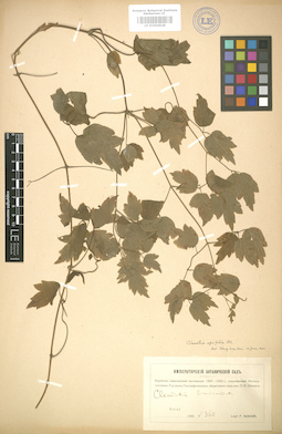 LE 01004628