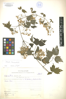 LE 01004630