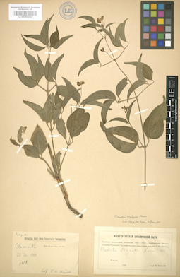 LE 01004634