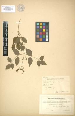 LE 01004635