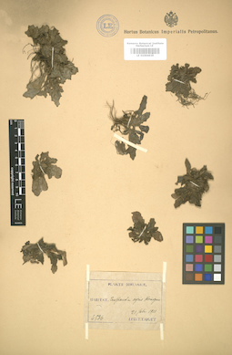 LE 01004639