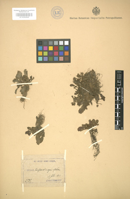 LE 01004640