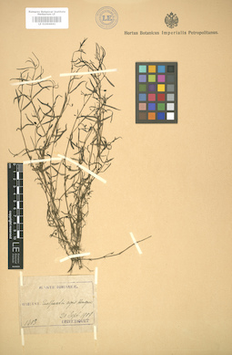 LE 01004641