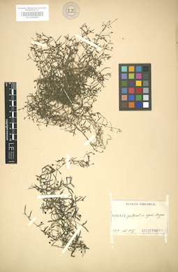 LE 01004642