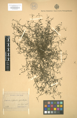 LE 01004643