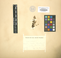 LE 01004651